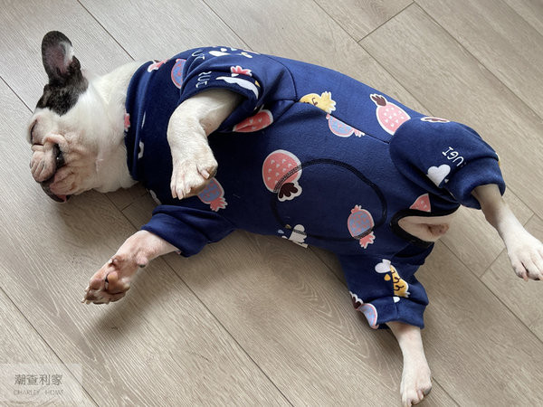 Moodsad aplikatsiooniga koerariided