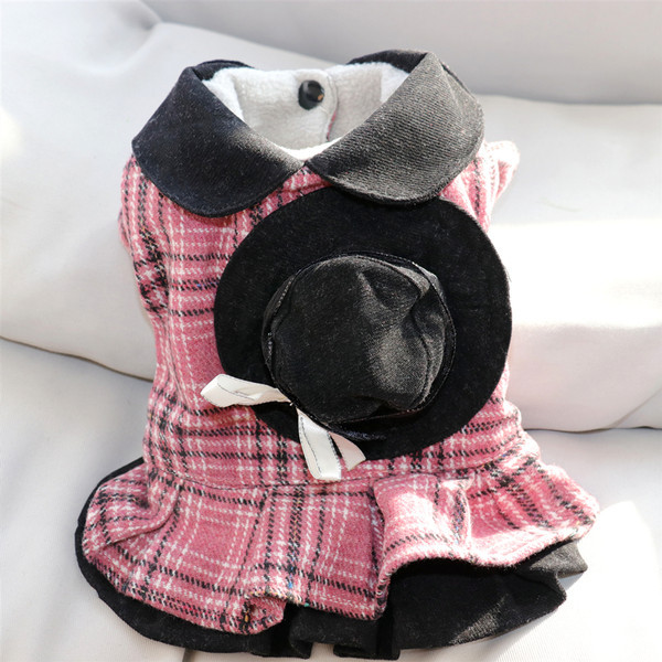 Kleit väikestele koertele - kahte värvi