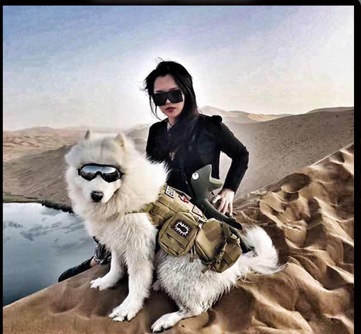 Päikesekaitse vest suurtele koertele