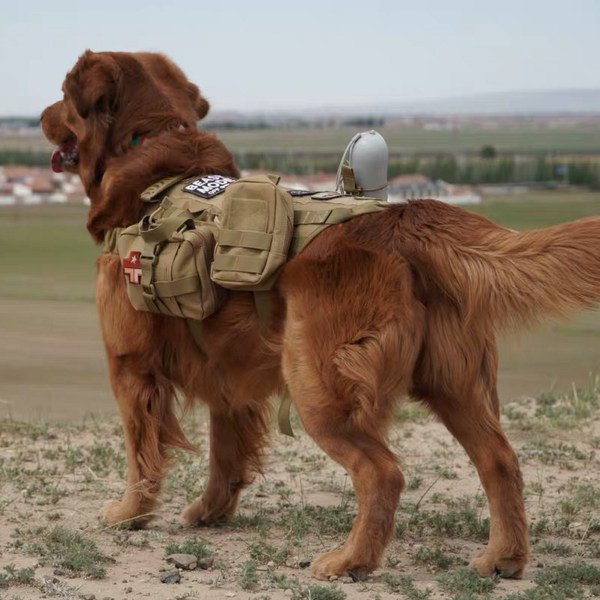Päikesekaitse vest suurtele koertele
