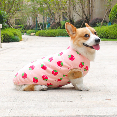 Värvilise trükiga ja sooja voodriga puuvillased riided koertele