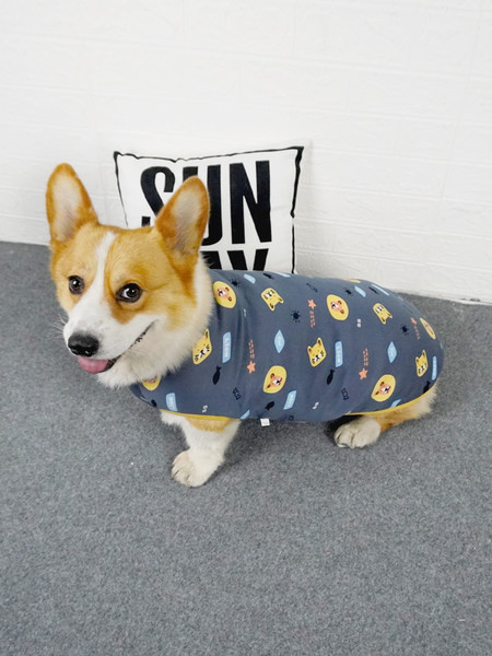 Värvilise trükiga ja sooja voodriga puuvillased riided koertele