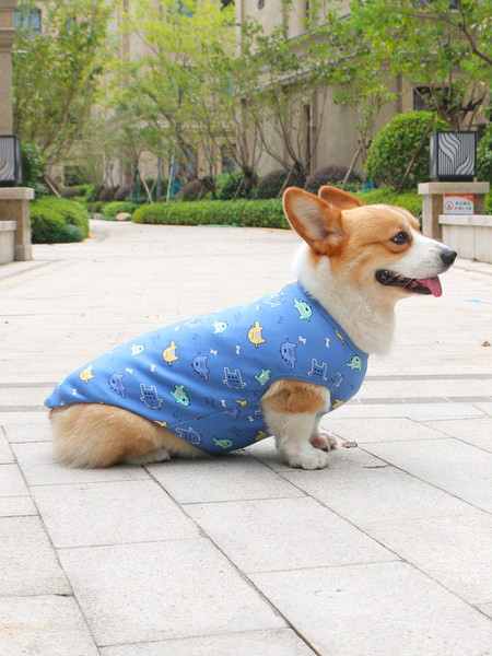 Värvilise trükiga ja sooja voodriga puuvillased riided koertele