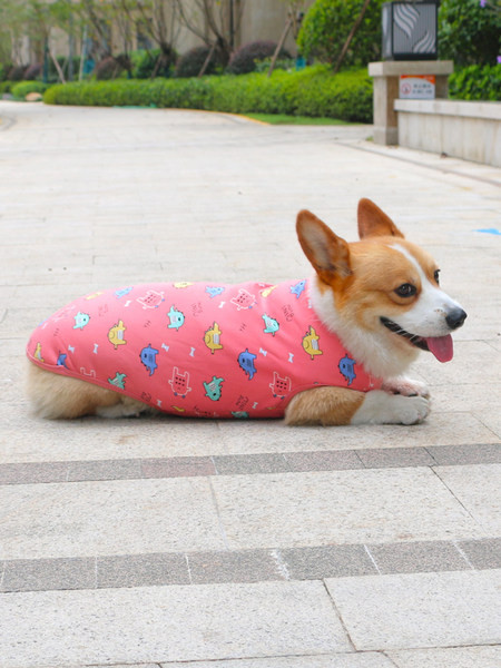 Värvilise trükiga ja sooja voodriga puuvillased riided koertele