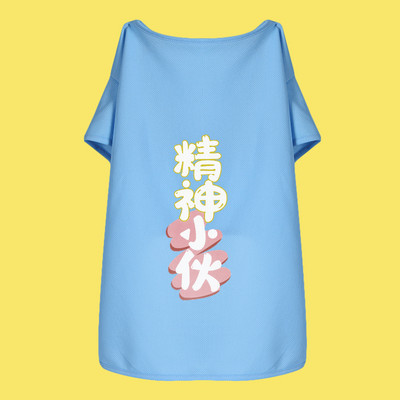 Moodne koerapluus erinevates mudelites