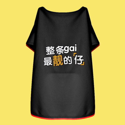 Moodne koerapluus erinevates mudelites