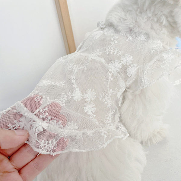 Moodne pitskleit koertele