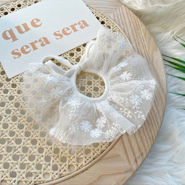 Moodne pitskleit koertele