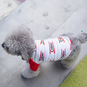 Moodne koerte T-särk kirjaga