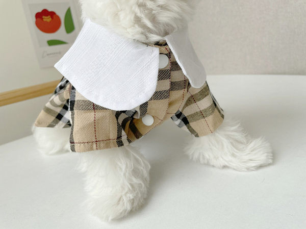 Stiilne ruuduline kleit koertele