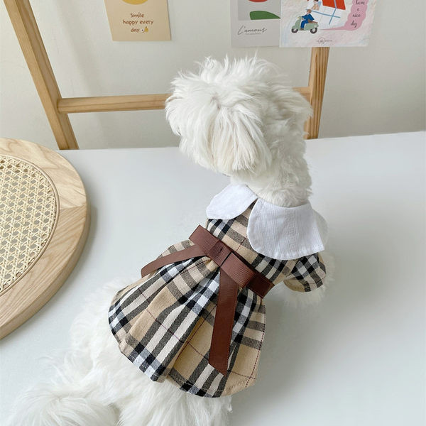 Stiilne ruuduline kleit koertele