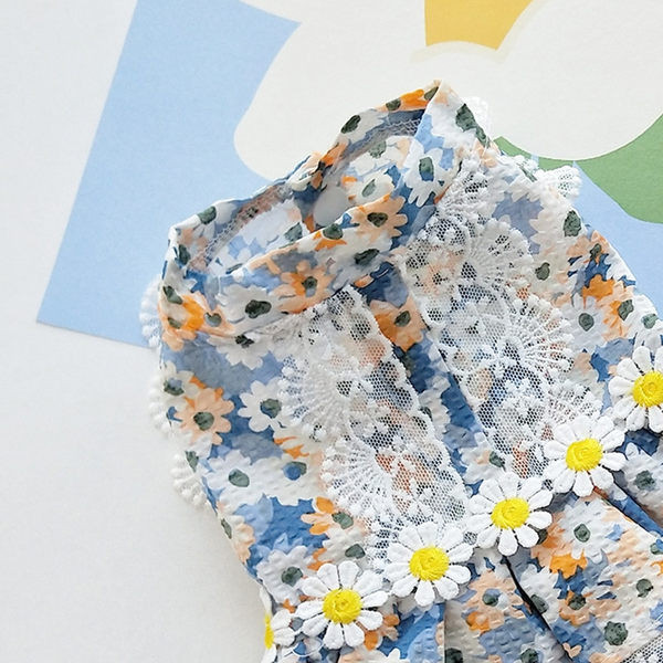 Stiilne lillemustri ja pitsiga kleit koertele