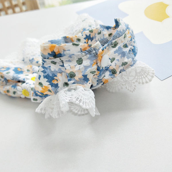 Stiilne lillemustri ja pitsiga kleit koertele