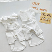 Ρούχα σκυλιών σε λευκά διαφορετικά μοντέλα