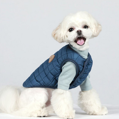 Moodne koerte tepitud vest nööpidega