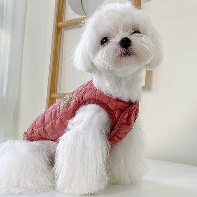 Moodne koerte tepitud vest nööpidega