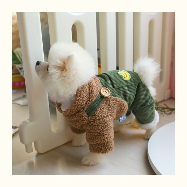 Moodsad riided koertele voodri ja tikandiga