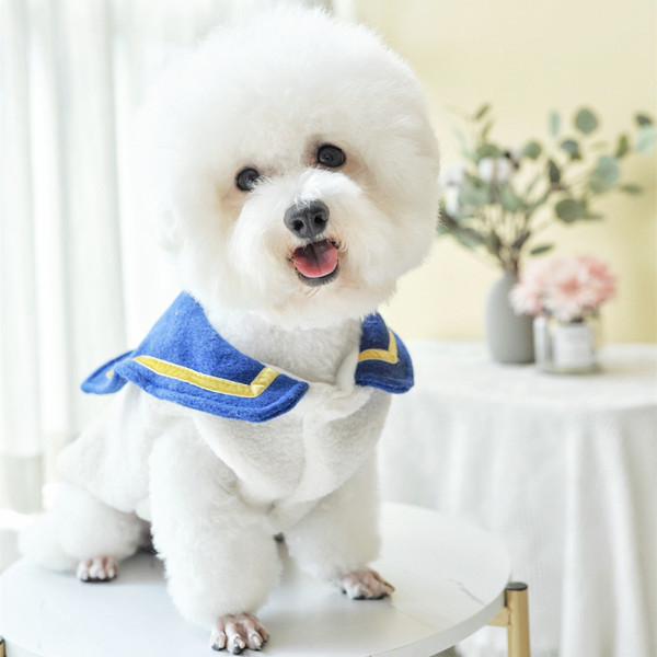 3D elementide ja nööpidega koerariided