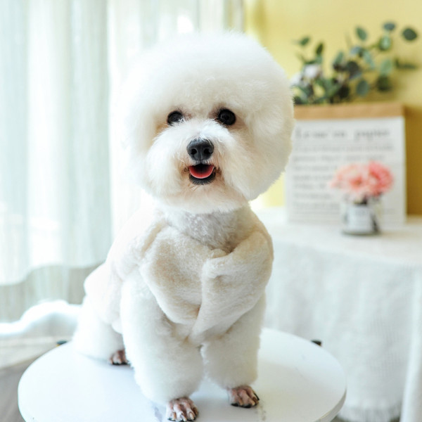 Tikitud südametega sulepluus koertele