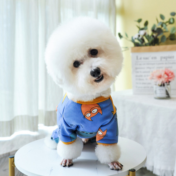 Värvilised aplikatsioonidega riided koerale