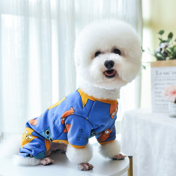 Värvilised aplikatsioonidega riided koerale