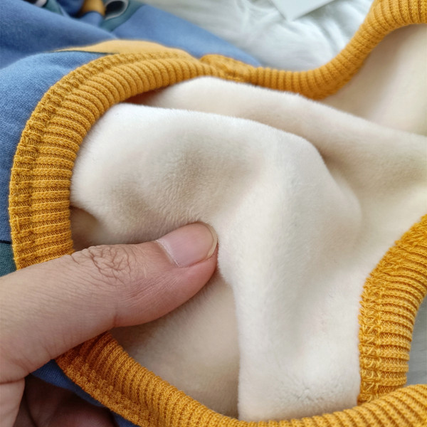 Värvilised aplikatsioonidega riided koerale