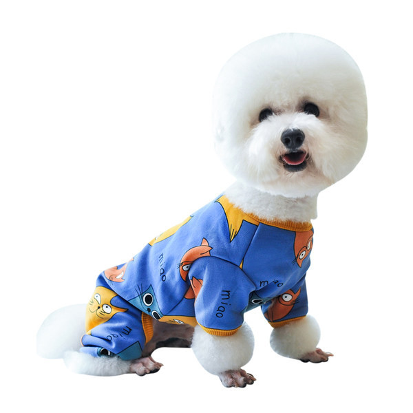 Värvilised aplikatsioonidega riided koerale