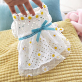 Rochie de câine modernă cu tul și panglică