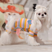 Pluus koertele - mitu mudelit