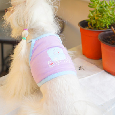 Pluus koertele - mitu mudelit