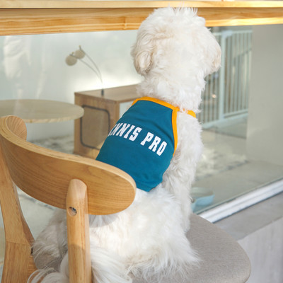 Pluus koertele - mitu mudelit