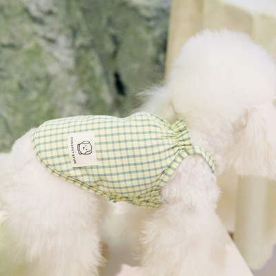 Pluus koertele - mitu mudelit