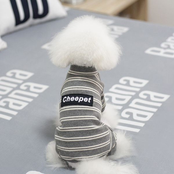 Pluus koertele - mitu mudelit