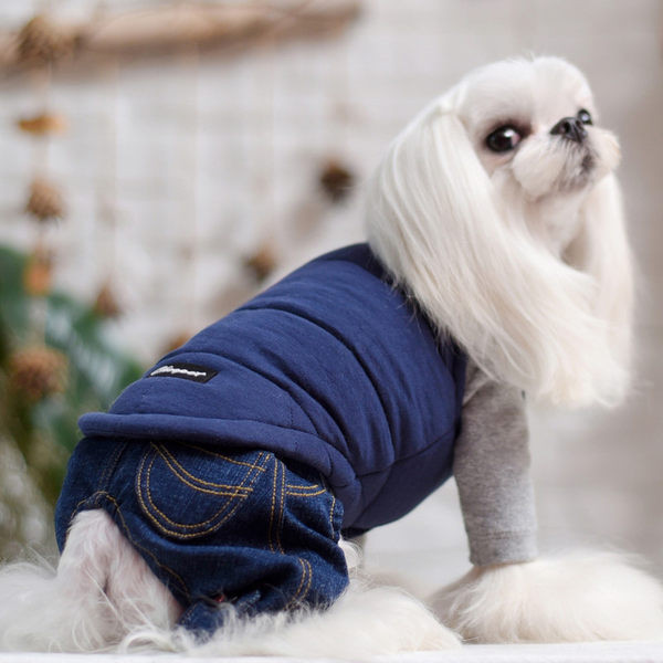 Pluus koertele - mitu mudelit