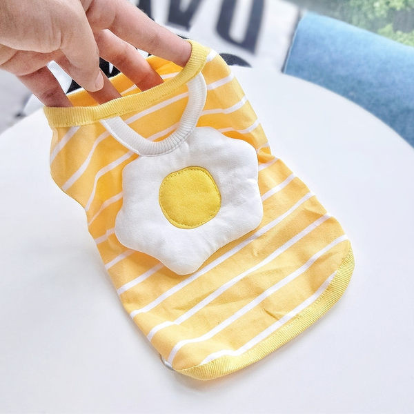 3D kaunistusega riided koerale