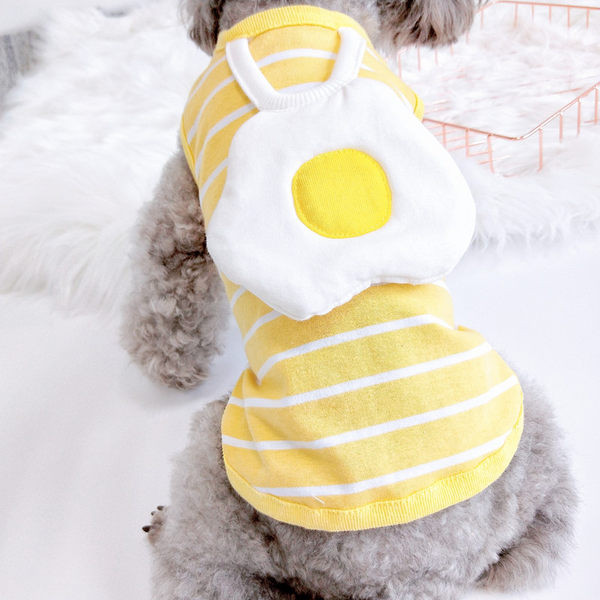 3D kaunistusega riided koerale