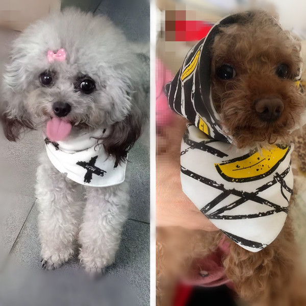 Puuvillane kolmnurkne sall koertele