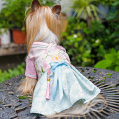 Stiilne paela ja tikandiga koerakleit