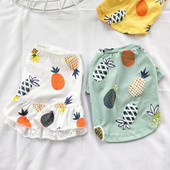 Moodne kahe mudeliga seelik koertele