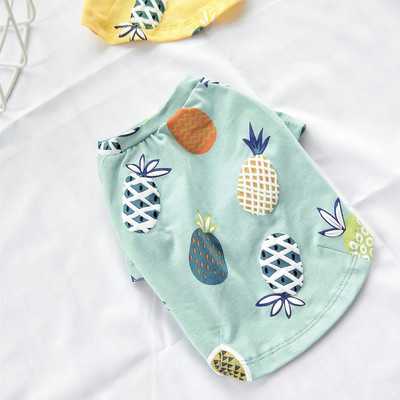 Moodne kahe mudeliga seelik koertele