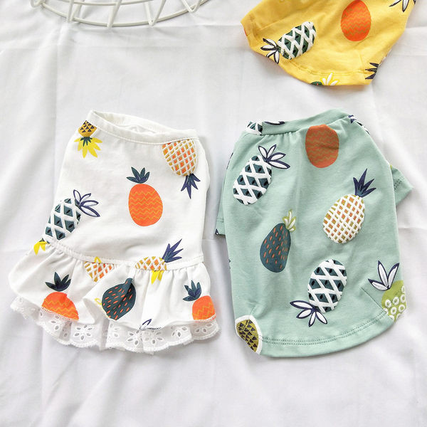 Moodne kahe mudeliga seelik koertele