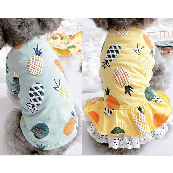 Moodne kahe mudeliga seelik koertele