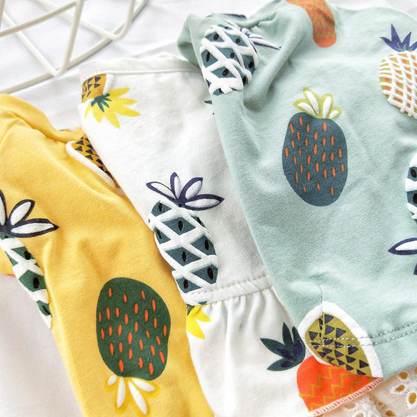 Moodne kahe mudeliga seelik koertele