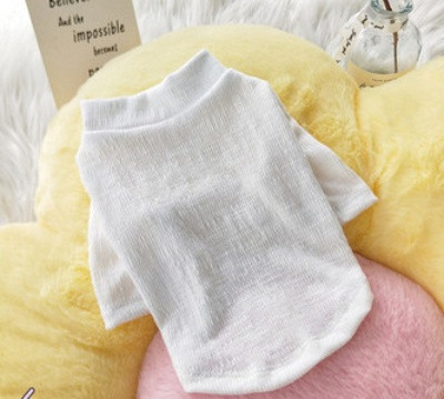 Moodne pluus koertele puhas mudel