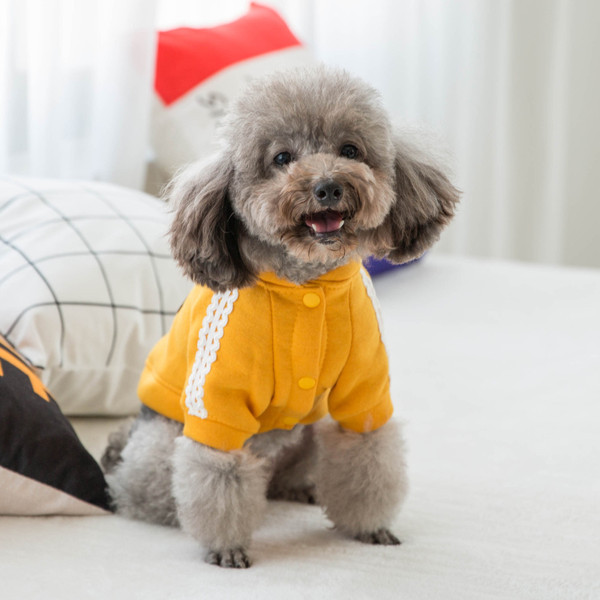 Stiilne kahe värvi tikandiga koerapluus