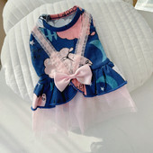 Moodne tülliga koerakleit kahes mudelis