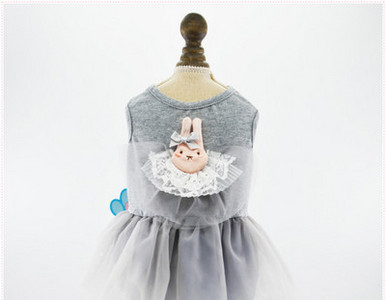 Moodne tülliga koerakleit kahes mudelis