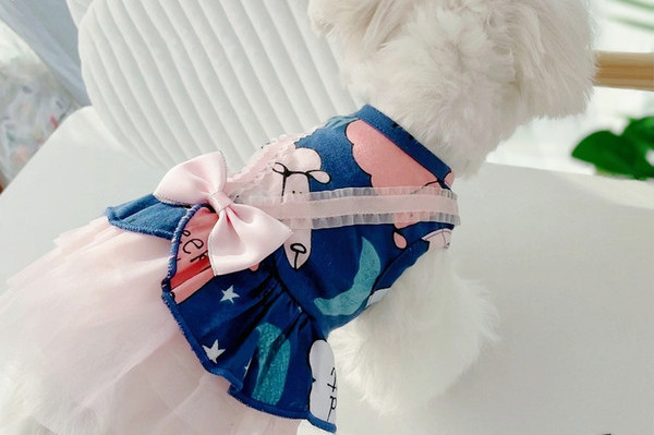 Moodne tülliga koerakleit kahes mudelis