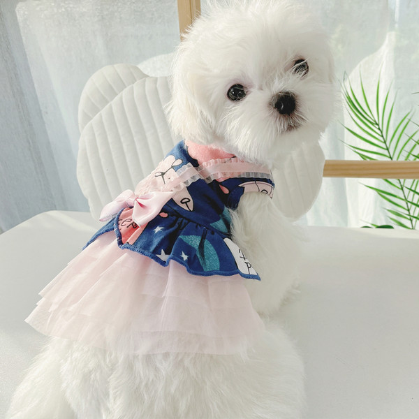 Moodne tülliga koerakleit kahes mudelis