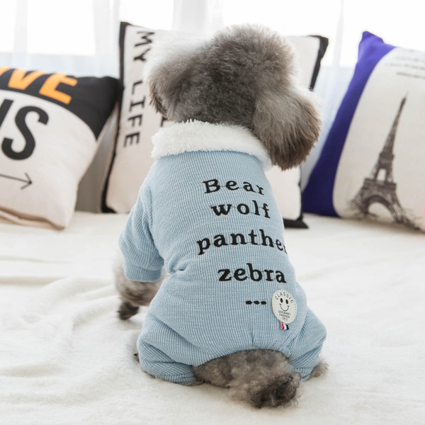 Moodne pealdisega polsterdatud mantel koertele